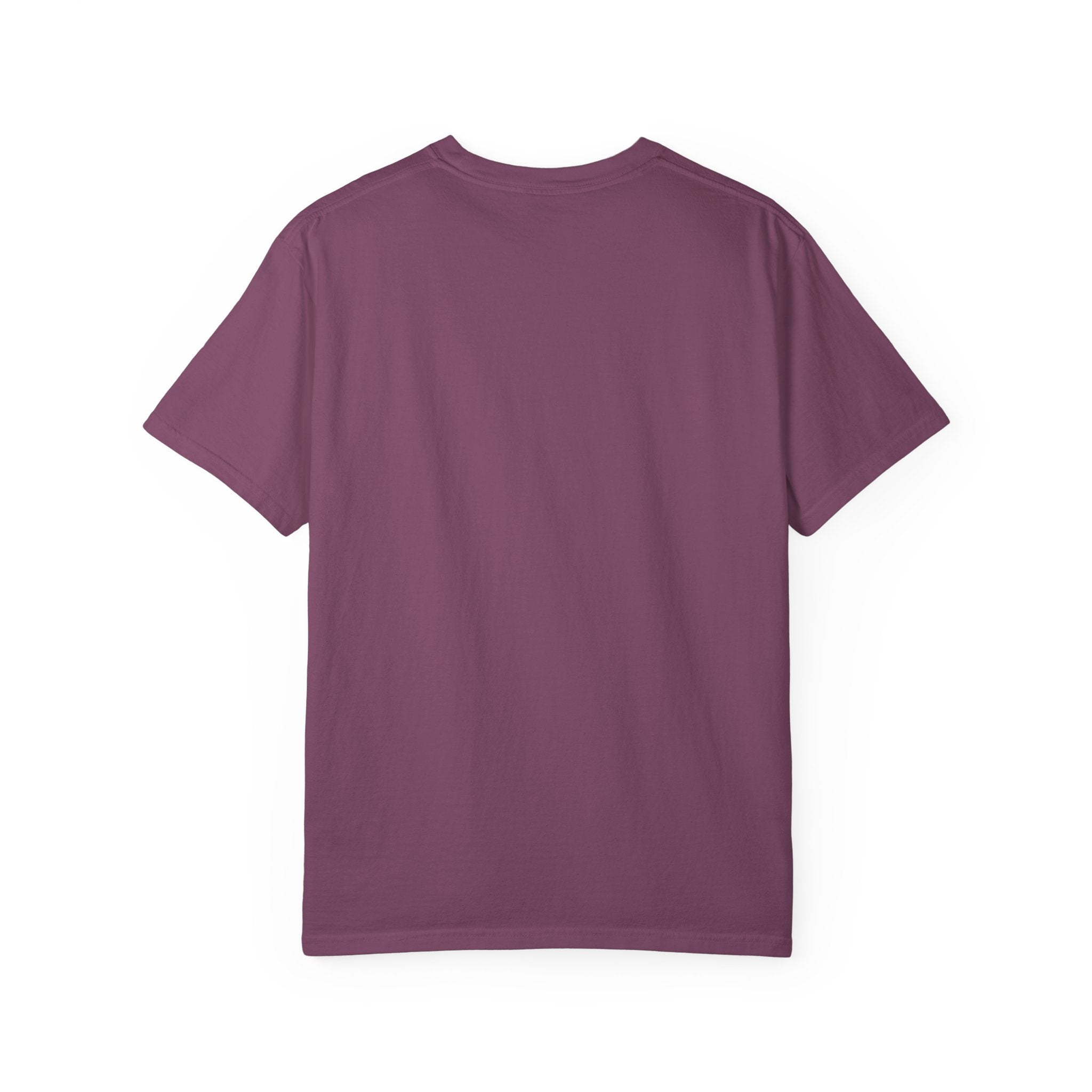 Lift Eat Sleep Repeat Premium T-Shirt